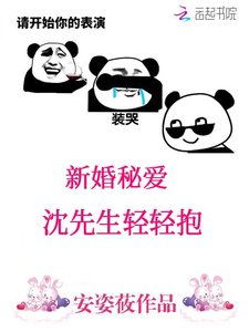 新婚秘愛:沈先生輕輕抱